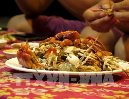 Cận cảnh trải nghiệm săn cua, còng đêm tại đảo Bé, Lý Sơn