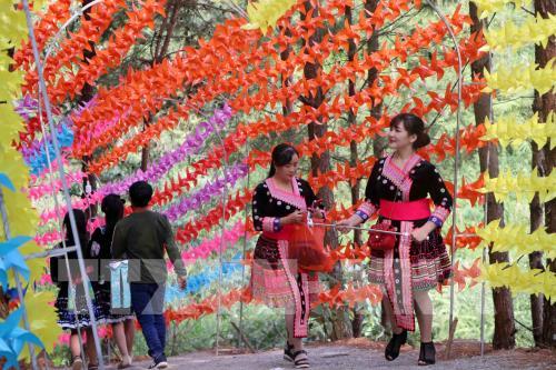 Hàng nghìn du khách đến tham quan Khu Du lịch sinh thái Đồi Thông