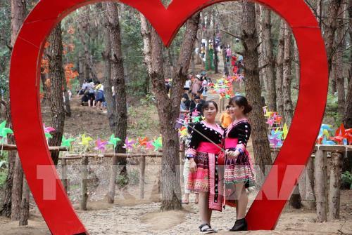 Hàng nghìn du khách đến tham quan Khu Du lịch sinh thái Đồi Thông