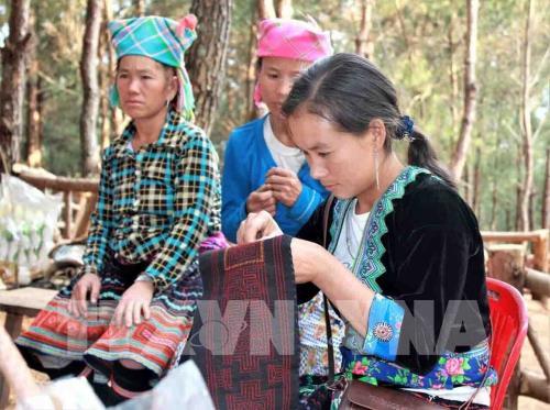 Hàng nghìn du khách đến tham quan Khu Du lịch sinh thái Đồi Thông