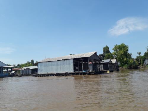 An Giang mùa nước nổi níu chân du khách