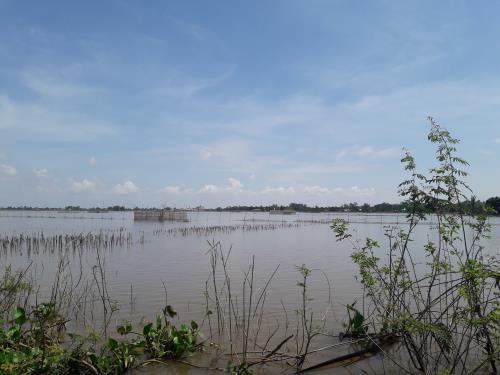 An Giang mùa nước nổi níu chân du khách