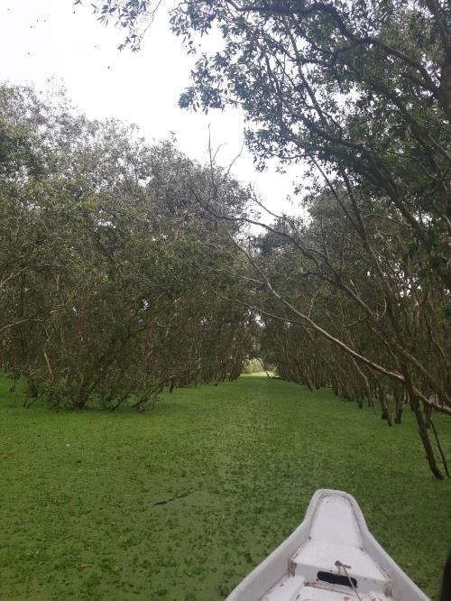 An Giang mùa nước nổi níu chân du khách