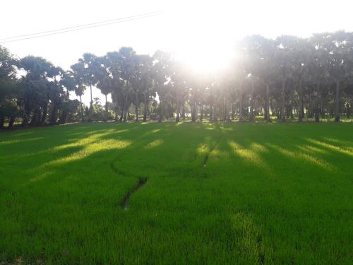 An Giang mùa nước nổi níu chân du khách