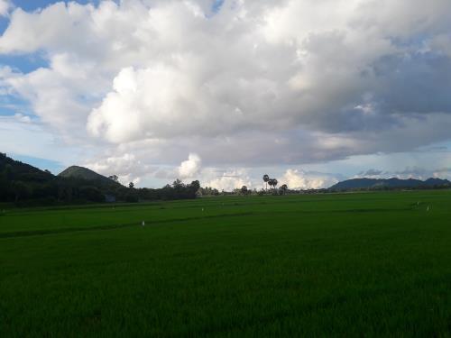 An Giang mùa nước nổi níu chân du khách