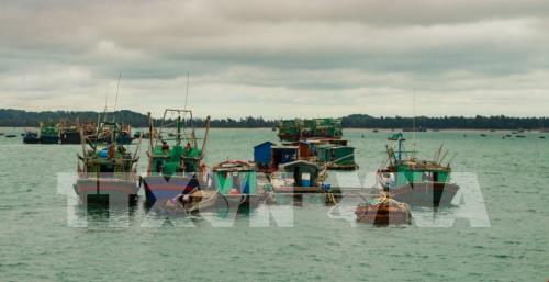 Nâng cao năng lực quản lý nhà nước về thủy sản