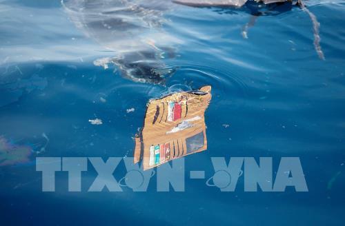 Những hình ảnh đầu tiên về vụ rơi máy bay của Lion Air