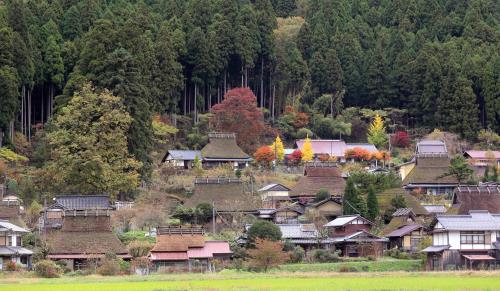 Những điểm tham quan hút hồn khách du lịch khi đến vùng Kansai Nhật Bản