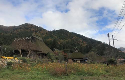 Những điểm tham quan hút hồn khách du lịch khi đến vùng Kansai Nhật Bản