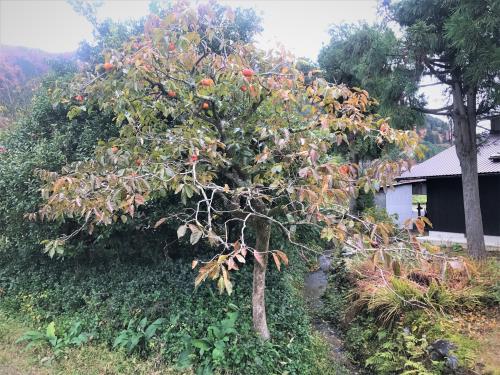 Những điểm tham quan hút hồn khách du lịch khi đến vùng Kansai Nhật Bản