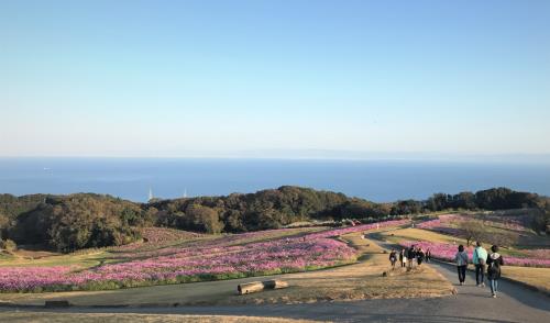 Những điểm tham quan hút hồn khách du lịch khi đến vùng Kansai Nhật Bản