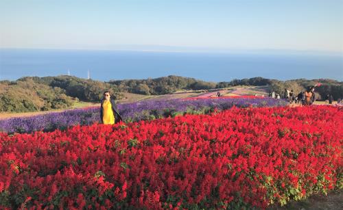 Những điểm tham quan hút hồn khách du lịch khi đến vùng Kansai Nhật Bản