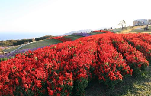 Những điểm tham quan hút hồn khách du lịch khi đến vùng Kansai Nhật Bản