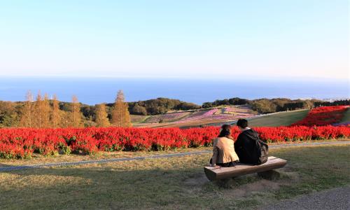 Những điểm tham quan hút hồn khách du lịch khi đến vùng Kansai Nhật Bản