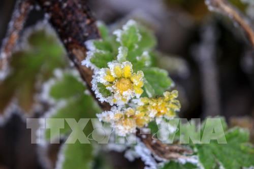 Phong cảnh tuyết rơi tại Trung Quốc