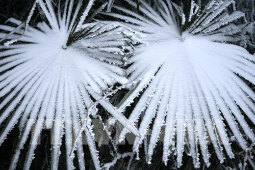 Phong cảnh tuyết rơi tại Trung Quốc