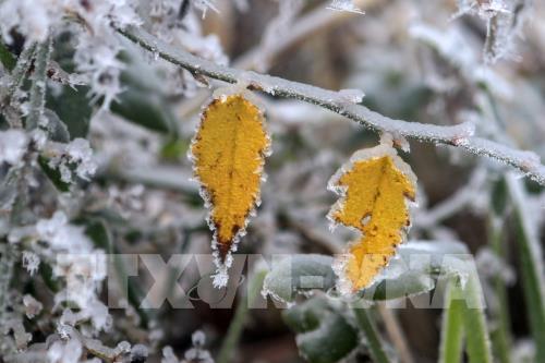 Phong cảnh tuyết rơi tại Trung Quốc