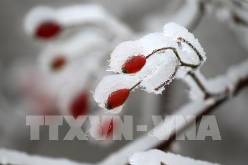 Phong cảnh tuyết rơi tại Trung Quốc