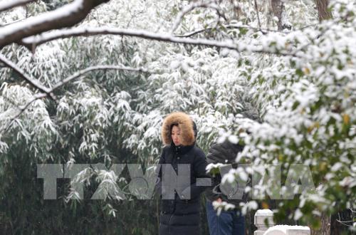 Phong cảnh tuyết rơi tại Trung Quốc