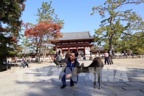 Độc đáo công viên Nara (Nhật Bản)