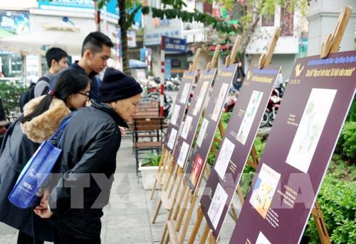 Triển lãm tranh giải biếm họa báo chí Việt Nam tại phố đi bộ Hồ Gươm