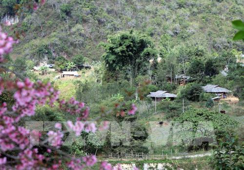 Bản rẻo cao Chiêu Ly vào xuân