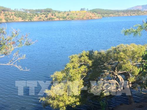 Xanh thẳm "đôi mắt Pleiku" 