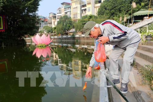 Những hình ảnh về người dân Thủ đô thả cá chép tiễn Táo quân về trời