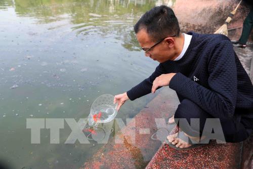 Những hình ảnh về người dân Thủ đô thả cá chép tiễn Táo quân về trời