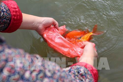 Những hình ảnh về người dân Thủ đô thả cá chép tiễn Táo quân về trời