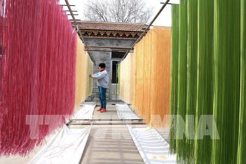 Mục sở thị sợi mì nhiều màu sắc làm từ rau quả tự nhiên