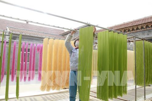 Mục sở thị sợi mì nhiều màu sắc làm từ rau quả tự nhiên
