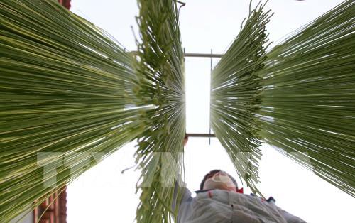 Mục sở thị sợi mì nhiều màu sắc làm từ rau quả tự nhiên