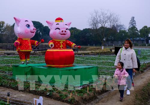 Chào đón Tết Nguyên đán Kỷ Hợi 2019