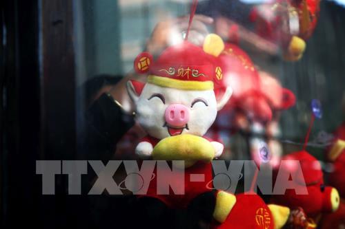 Chào đón Tết Nguyên đán Kỷ Hợi 2019