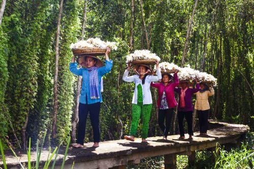 Bông súng- loài hoa mộc mạc nhưng chan chứa hồn quê
