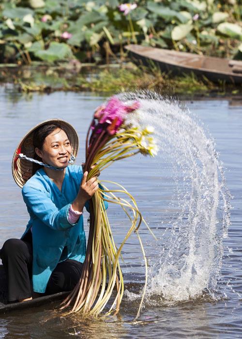 Bông súng- loài hoa mộc mạc nhưng chan chứa hồn quê