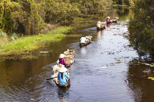 Bông súng- loài hoa mộc mạc nhưng chan chứa hồn quê