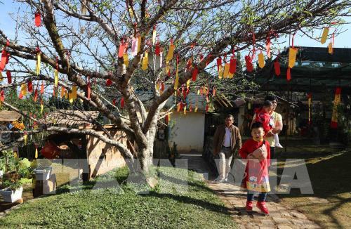 Người dân rộn ràng đi lễ chùa đầu năm mới