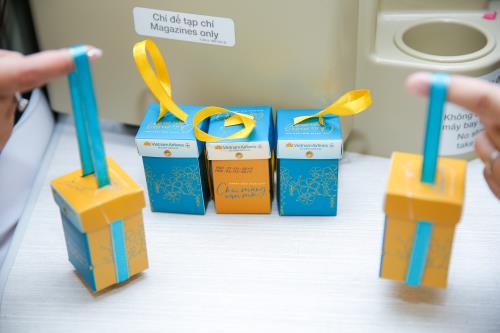 Hành khách đón Xuân trên độ cao 10.000 m cùng Vietnam Airlines