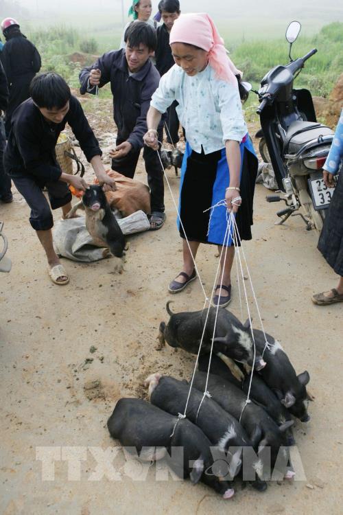 Nét đẹp chợ phiên Đồng Văn