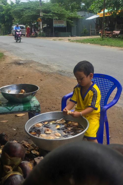 Sắc màu xứ sở thốt nốt