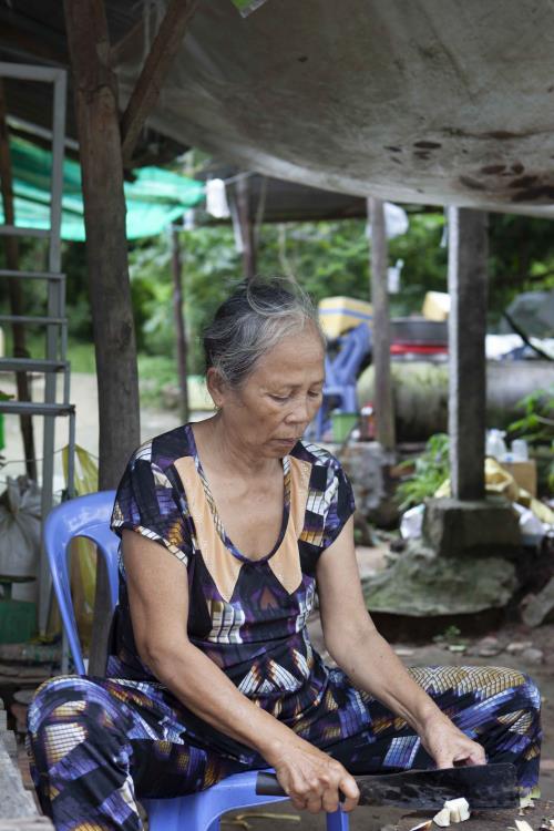 Sắc màu xứ sở thốt nốt