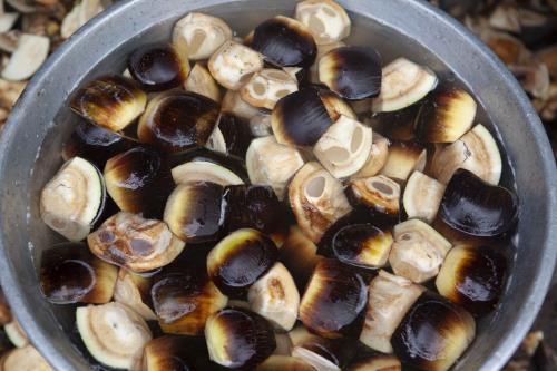 Sắc màu xứ sở thốt nốt