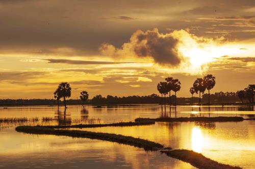 Sắc màu xứ sở thốt nốt