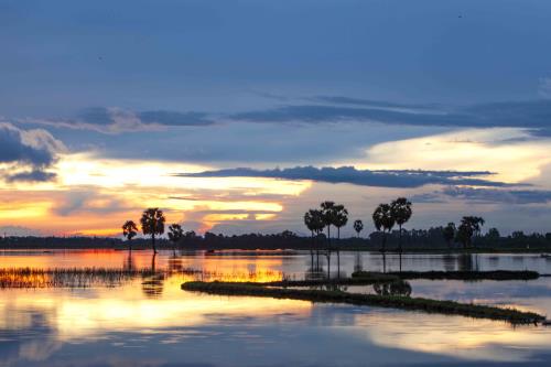 Sắc màu xứ sở thốt nốt