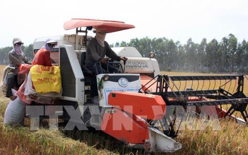 Sớm tận dụng ưu đãi hạn ngạch thuế quan khi xuất khẩu gạo sang EU