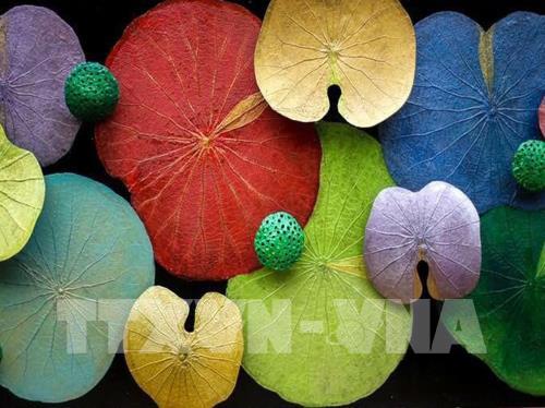 Không gian sen tại Festival Huế 2019