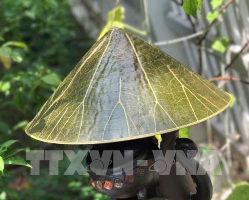 Không gian sen tại Festival Huế 2019