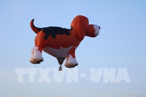 Những màn trình diễn ngoạn mục ở Lễ hội khinh khí cầu Canberra 2019